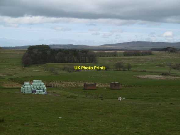 Photo 6"x4" Railway buildings, Carbellow Cronberry c2016