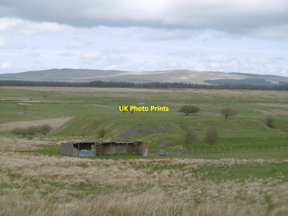 Photo 6"x4" Carbellow No. 3 Pit Cronberry c2016
