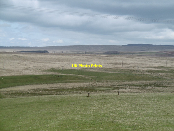 Photo 6"x4" Field, Boghead Cronberry c2016