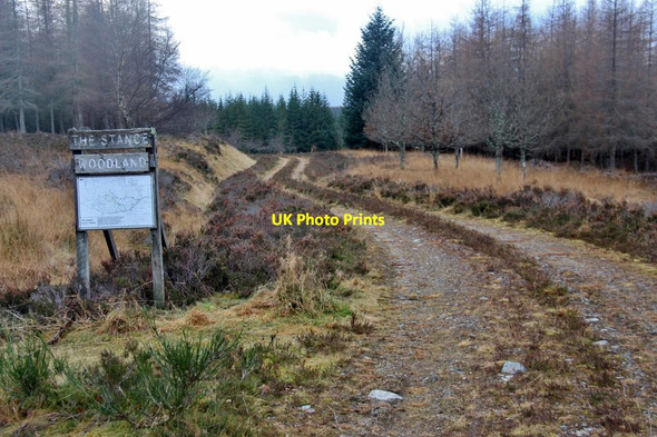Photo 6"x4" Entrance to the Stance woodland Catlodge c2016