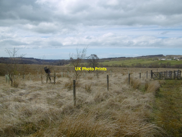 Photo 6"x4" River Ayr Way Sorn c2016