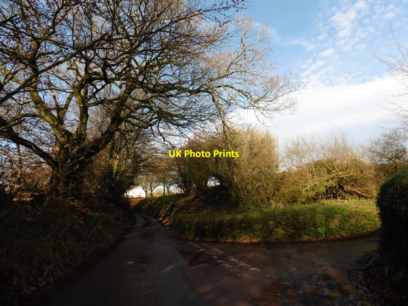 Photo 6"x4" Turning for Hockworthy Hockworthy c2016