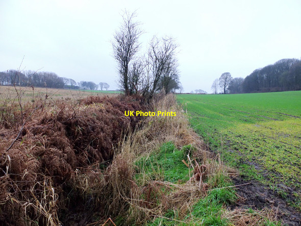 Photo 6"x4" Drainage ditch between fields near Billinge Plantation Billinge c2016
