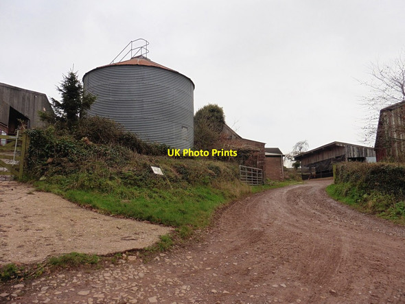 Photo 6"x4" Beer Down Farm Coombe\/ST0017 c2016