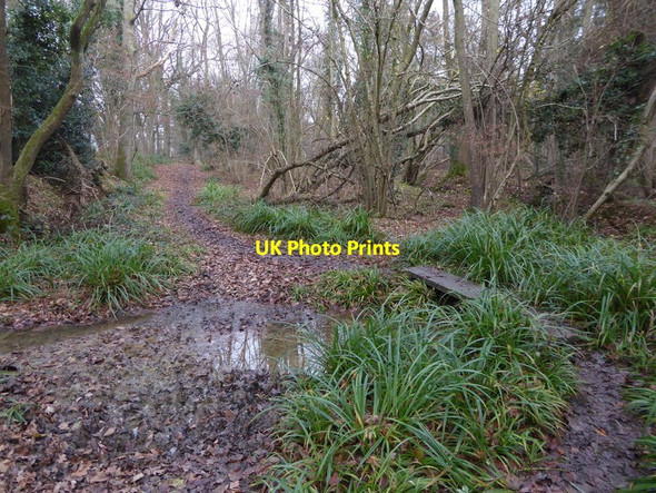 Photo 6"x4" Bridleway crosses Rye Farm Gill Barns Green c2016