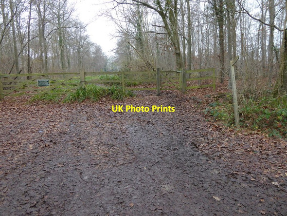 Photo 6"x4" Bridleway goes west from Marlpost Road Southwater c2016