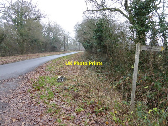 Photo 6"x4" Looking northwards on Dragons Green Road Dragons Green c2016