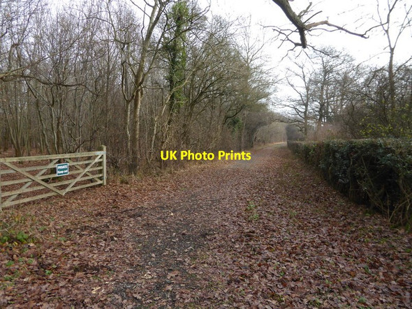 Photo 6"x4" Green Lane Green Street\/TQ1422 c2016