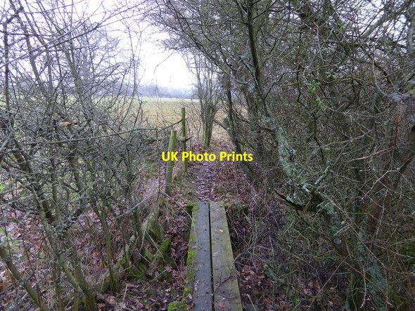 Photo 6"x4" Footpath goes east over plank bridge West Grinstead c2016