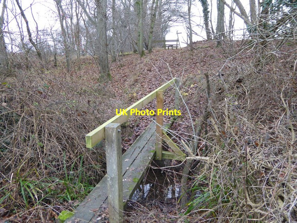 Photo 6"x4" Path crosses footbridge to leave wood Littleworth\/TQ1920 c2016