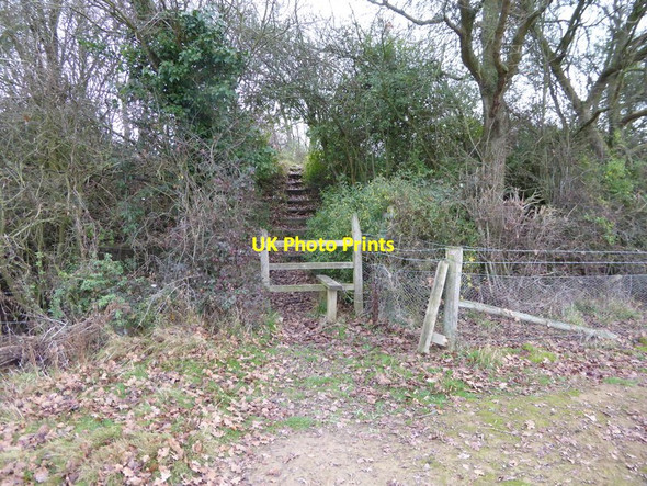 Photo 6"x4" Path mounts steps to reach the Downs Link Littleworth\/TQ1920 c2016