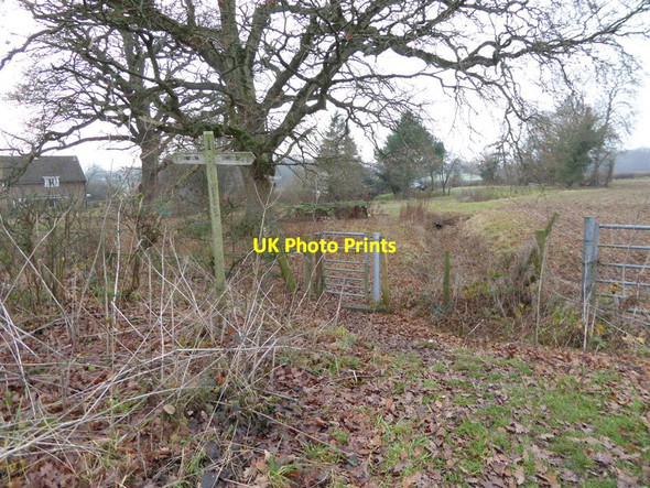 Photo 6"x4" Footpath leaves the Downs Link Littleworth\/TQ1920 c2016