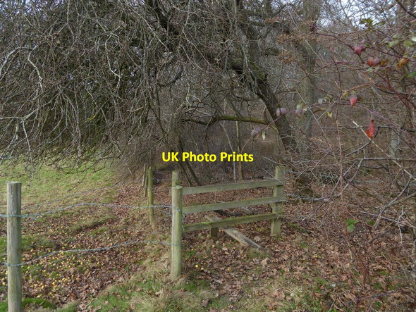 Photo 6"x4" Footpath crosses stile on edge of Hobhearn Wood West Grinstead c2016
