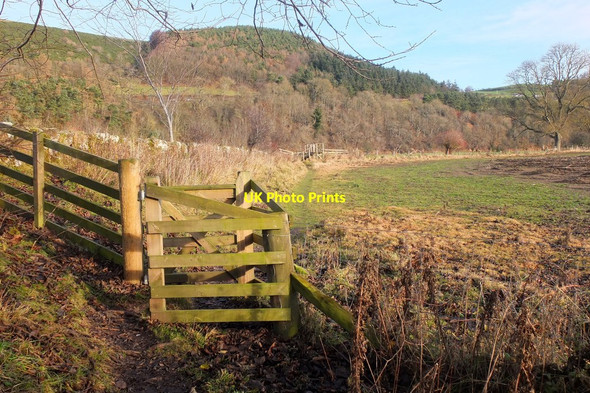 Photo 6"x4" Gate and path to Newstead Melrose\/NT5434 c2016