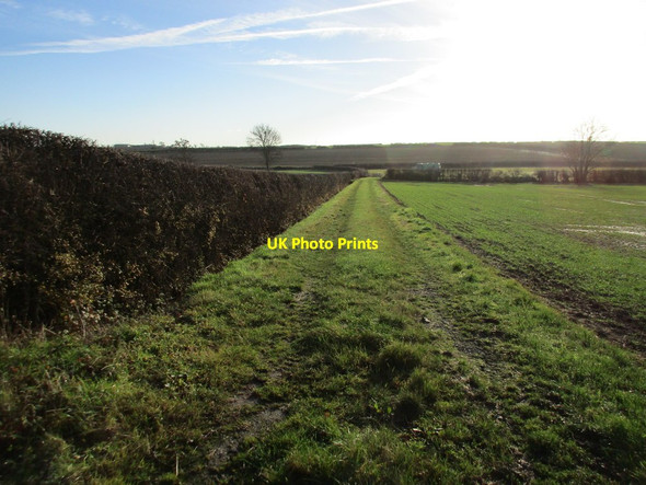 Photo 6"x4" Footpath to Laxton Common Egmanton c2016