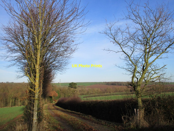 Photo 6"x4" Track to a small area of woodland Kirton\/SK6969 c2016