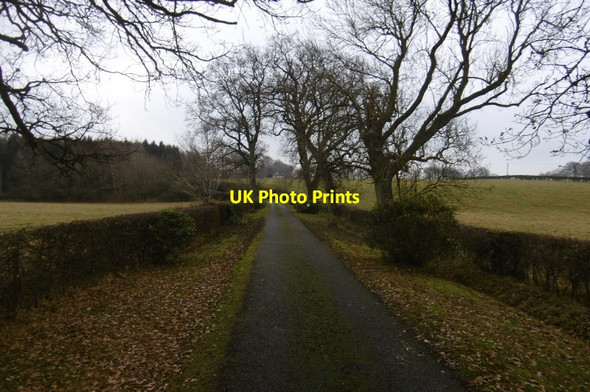 Photo 6"x4" Drive, West Mains Huntingtower c2016