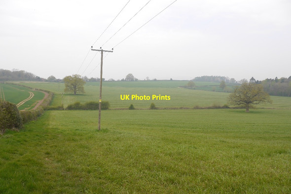 Photo 6"x4" Fields, Westwood Broombank\/SO6770 c2016
