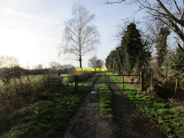 Photo 6"x4" Gate at the end of Hopyard Lane Tuxford c2016