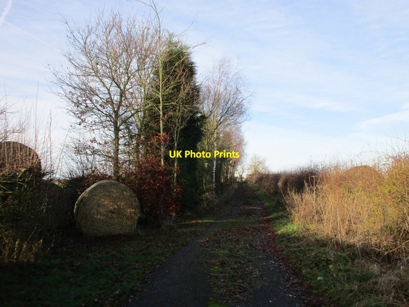 Photo 6"x4" Track close to Grange Farm Laxton\/SK7267 c2016