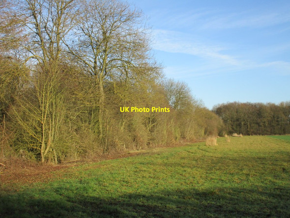 Photo 6"x4" Alongside the railway Kirton\/SK6969 c2016
