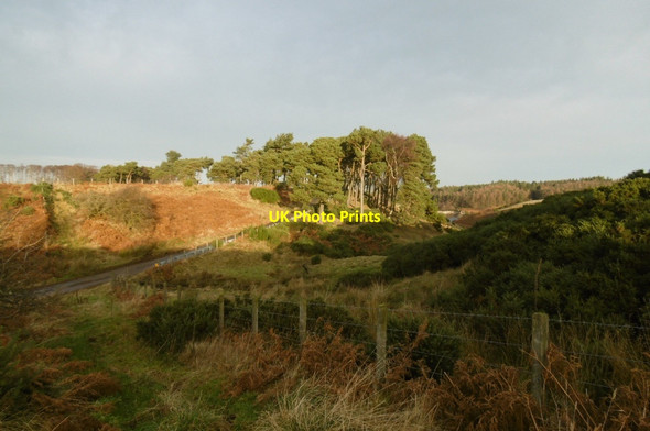 Photo 6"x4" Fen Strip Garvald\/NT5870 c2016