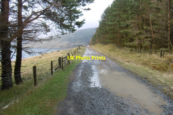 Photo 6"x4" Road to Winterhopeburn Craigierig c2016
