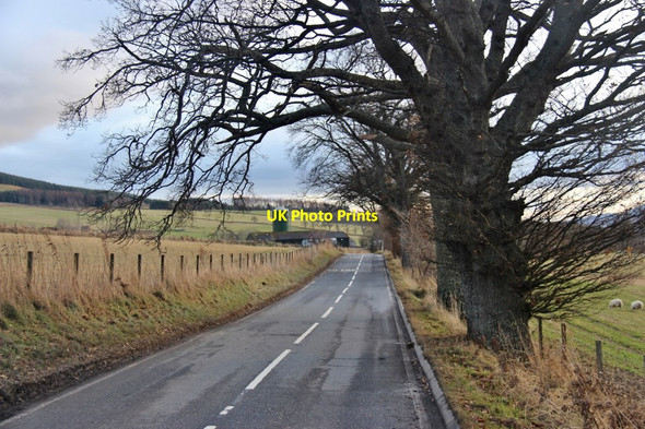 Photo 6"x4" A924 above Pitlochry Pitlochry c2016