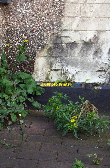 Photo 6"x4" Benchmark on #7 Westminster Road Coventry c2016