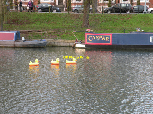 Photo 6"x4" River Cam wildfowl, Christmas Day 2016 Cambridge\/TL4658 c2016