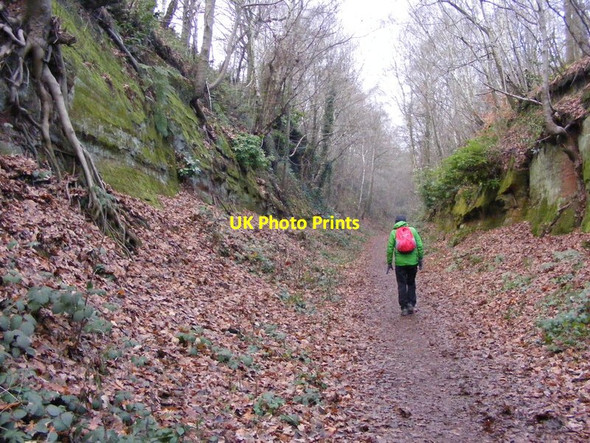 Photo 6"x4" Railway Cutting View Himley c2016