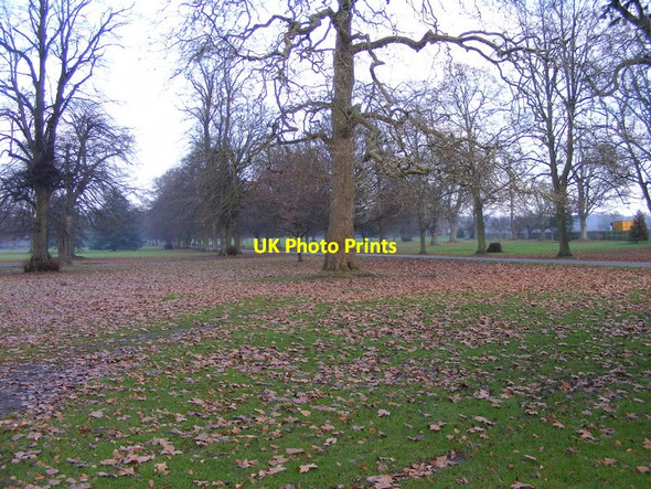 Photo 6"x4" Park Grass Himley c2016