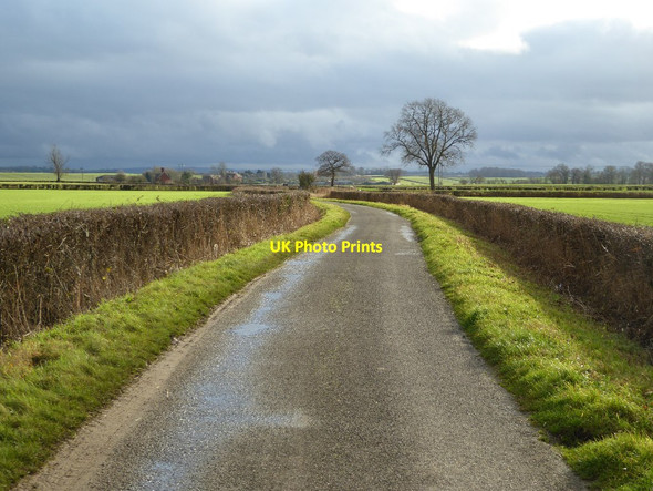 Photo 6"x4" Road to Hill Croome Baughton c2016