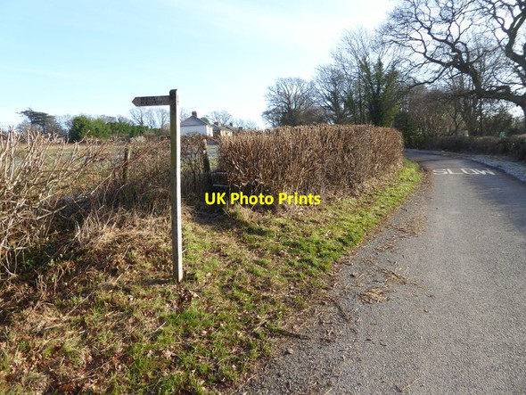 Photo 6"x4" Looking along Fryland Lane from footpath junction Wineham c2016