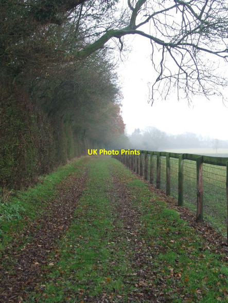 Photo 6"x4" Path Next To Paddock Broad Green\/TL6859 c2016