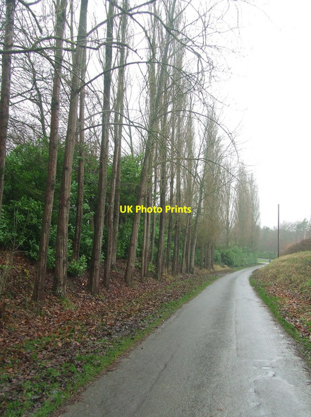 Photo 6"x4" Maypole Lane Ditton Green c2016