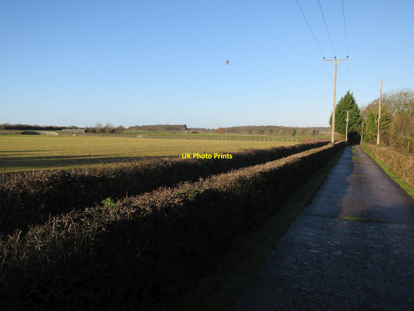 Photo 6"x4" Stud farm off Moulton Road Ashley\/TL6961 c2016