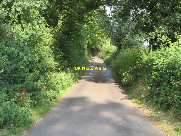Photo 6"x4" View along Scadsbury Lane South Yeo\/SS5100 c2016