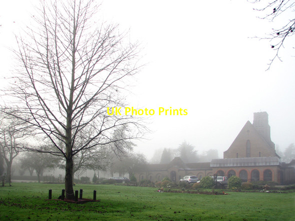 Photo 6"x4" RAF Memorial Tree at St Faith's Crematorium Horsham St Faith c2016