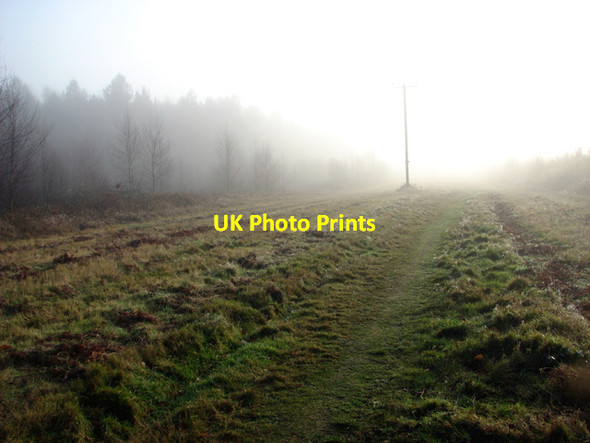 Photo 6"x4" Footpath south of Heath Farm Horsford c2016