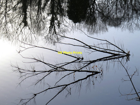 Photo 6"x4" River Tyne reflections Ryton\/NZ1564 c2016