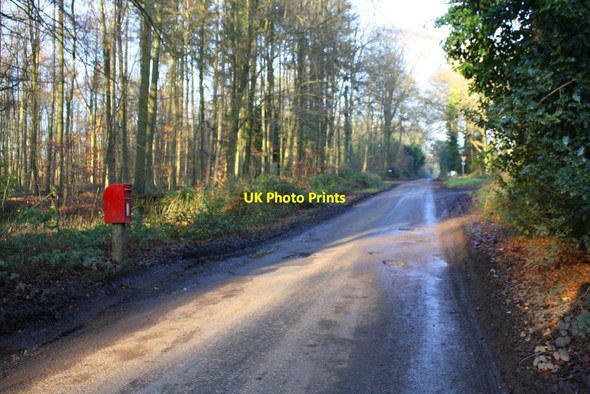 Photo 6"x4" Approaching crossroads at Scot's Common Checkendon c2016