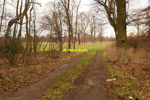 Photo 6"x4" Track at Luffness Ballencrieff c2016