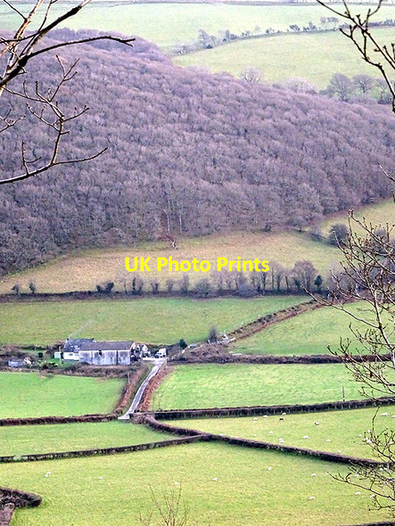 Photo 6"x4" Troed-rhiw-ceir farm Nantyronen Station c2016