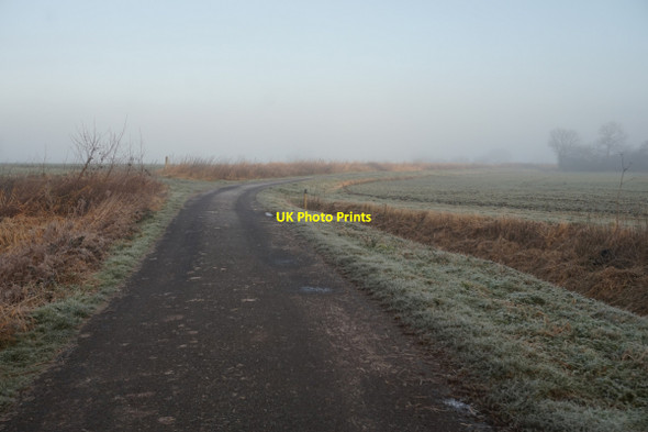 Photo 6"x4" Marsh Lane north of Dawker Hill Dawker Hill c2016