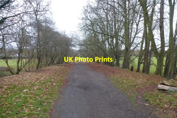 Photo 6"x4" Path from the bridge Catford\/TQ3873 c2016