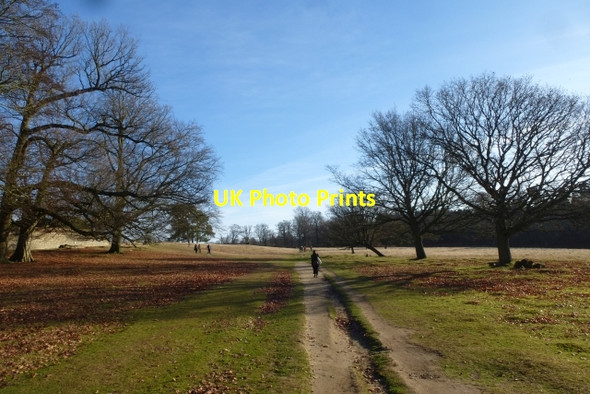 Photo 6"x4" Paths in Knole Park Sevenoaks c2016