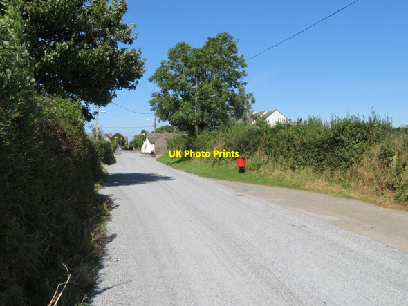 Photo 6"x4" Bableigh Road Bocombe c2016