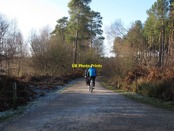Photo 6"x4" Cycling on a cold day Hatchmere c2016