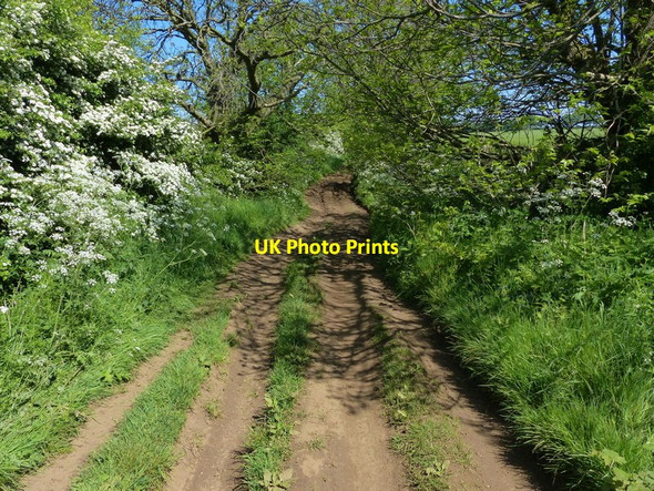 Photo 6"x4" Heading north along The Drift Harston\/SK8331 c2014